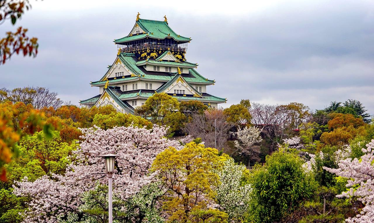 定安追寻梦想的起点：为何选择高考后去日本留学？