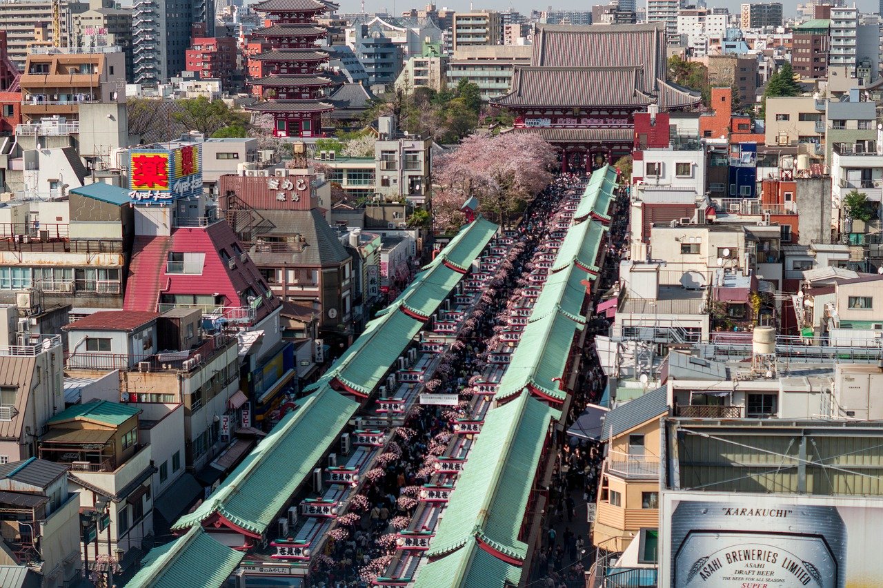 定安高考后的新路径：为何选择去日本留学成就未来？